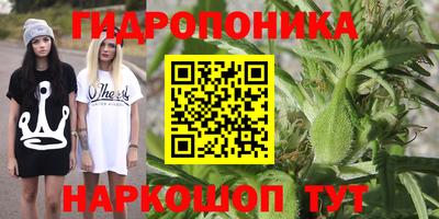 бошки Дубна