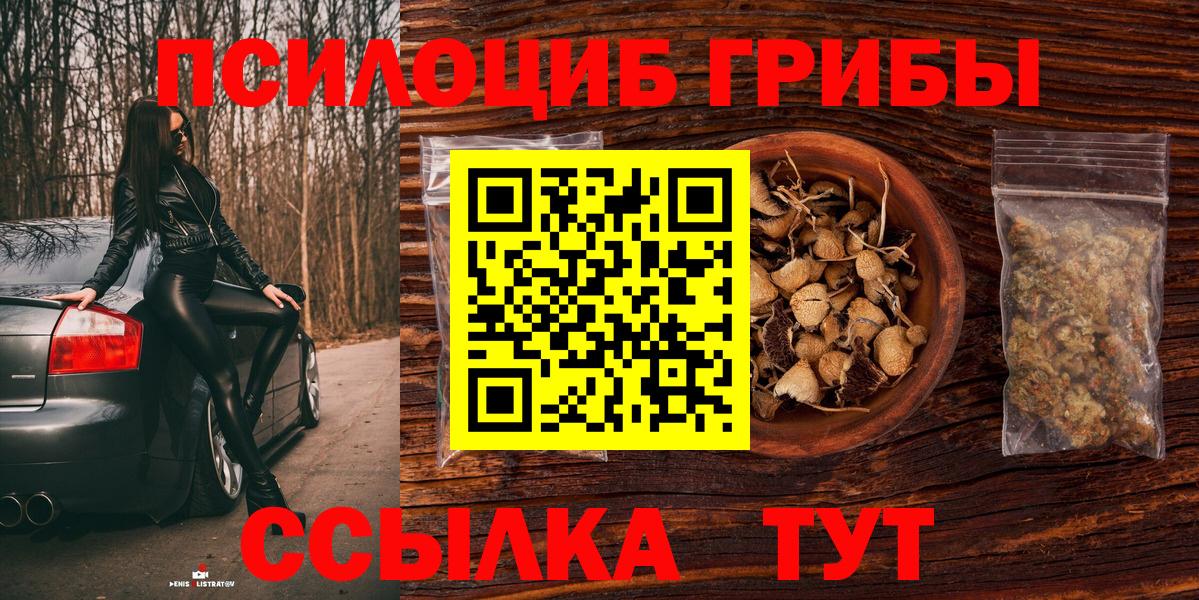 Галлюциногенные грибы Cubensis Людиново
